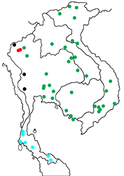 Euthalia evelina annamita map