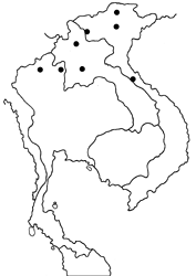 Lexias cyanipardus grandis map