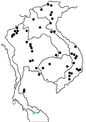 Nymphalis canace canace map