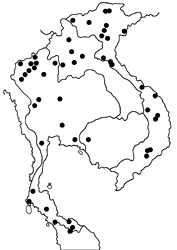 Symbrenthia hypselis cotanda map