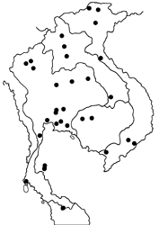 Hypolimnas misippus map