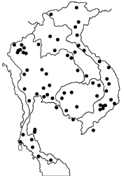 Junonia lemonias lemonias map
