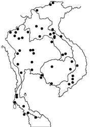 Junonia hierta hierta map
