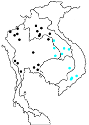 Kallima inachus alboinachus map