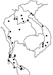 Rhinopalpa polynice eudoxia map