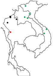 Dodona adonira ssp. map
