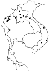 Abisara fylla map