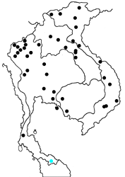 Archigenes neophron chelina map