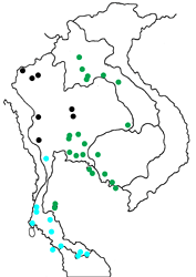 Taxila haquinus haquinus map