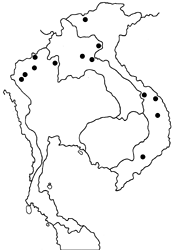 Stiboges elodinia map